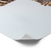 Photograph of a Flying Sharp-shinned Hawk  ポスター (角)