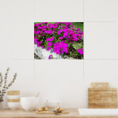 Photograph of Purple Flowers in Fayette, MO ポスター (キッチン)