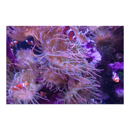 Photograph #Y008 on EXTRA LARGE Poster フォトプリント (正面)