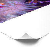 Photograph #Y008 on LARGE Photograph フォトプリント (角)