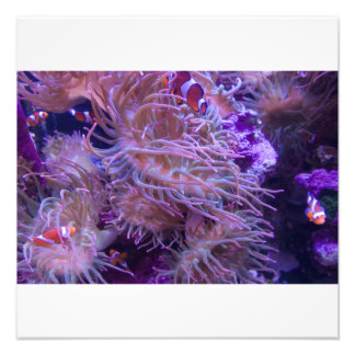 Photograph #Y008 on LARGE Photograph フォトプリント