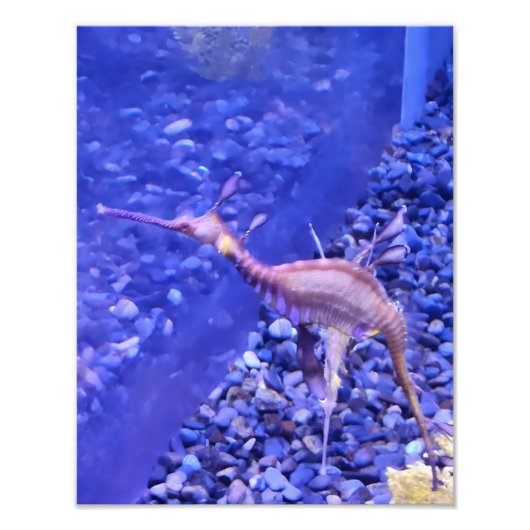 Photograph #Y040 on MEDIUM SIZE Poster フォトプリント (正面)