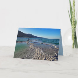 Photographer at Dead Sea、すべての行事・グリーティング カード