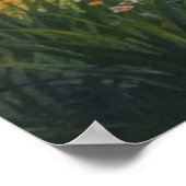 Photographic Landscape Art Edited (Better Quality) ポスター (角)