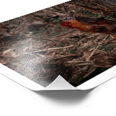 Photographie Coq - Uekani - 17,7x12,7 cm フォトプリント (角)