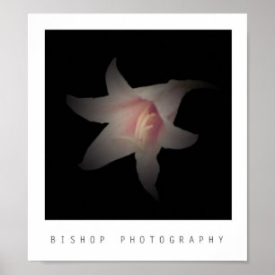 Photography司教 ポスター