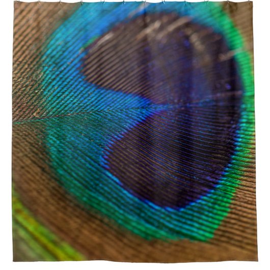 Photography of peacock feather シャワーカーテン (正面)