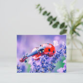 Photorealistic Ladybug Playing Violin on Lavender ポストカード (スタンド正面)