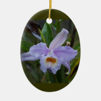 Photos セラミックオーナメント