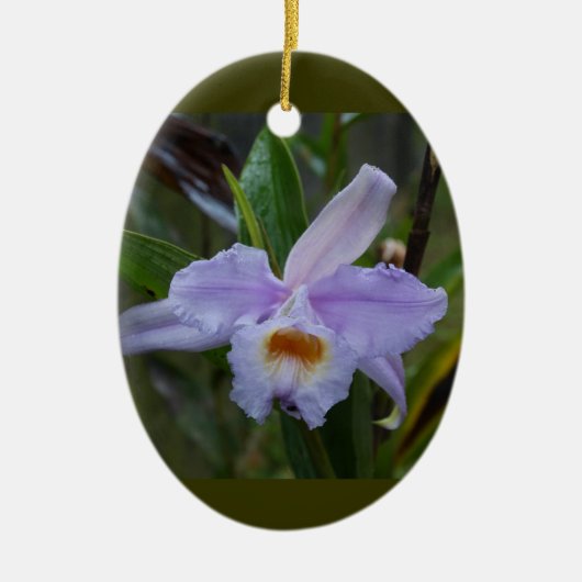 Photos セラミックオーナメント (正面)