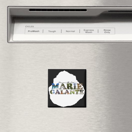 Photos de Marie-Galante マグネット (インサイチュ (食洗機))
