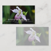 Phragmipediumの蘭 名刺 (正面/裏面)