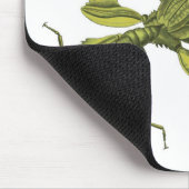 Phyllium Siccifolia マウスパッド (コーナー)