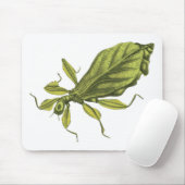 Phyllium Siccifolia マウスパッド (マウス)