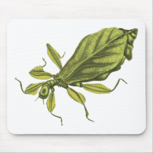 Phyllium Siccifolia マウスパッド