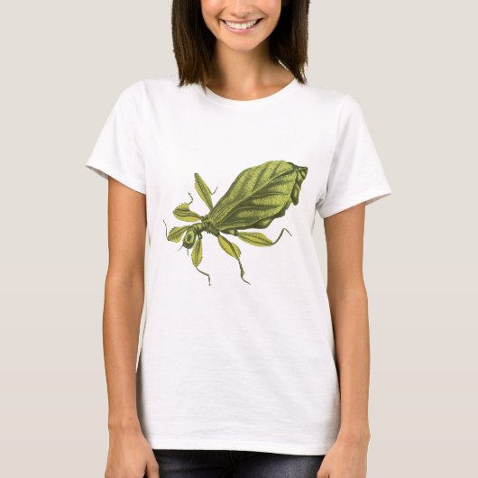 Phyllium Siccifolia Tシャツ (正面)