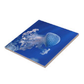 Phyllorhiza Punctata タイル (側面)