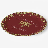 Physician Assistant PA Graduation Maroon Gold ペーパープレート (アングル)