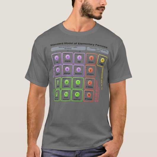Physics Standard Model of Elementary Particles Tシャツ (正面)