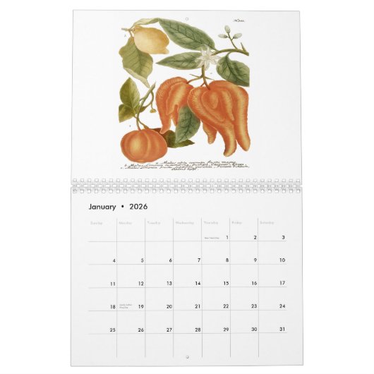 Phytanthoza Iconographia カレンダー (1月 2026)