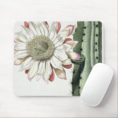 「PhythからのCereus Erectus Altissimus Syrinamensis マウスパッド (マウス)