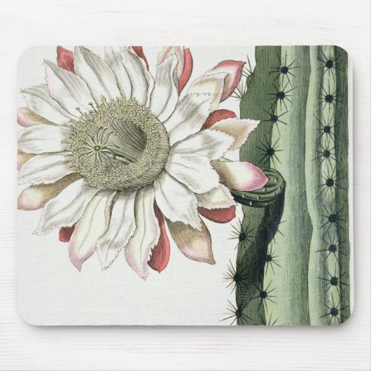 「PhythからのCereus Erectus Altissimus Syrinamensis マウスパッド (正面)