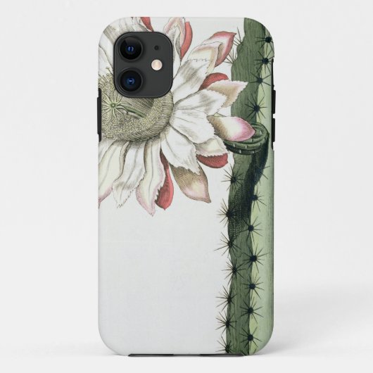 「PhythからのCereus Erectus Altissimus Syrinamensis Case-Mate iPhoneケース (裏面)
