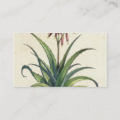 「Phytographia Curiosa」から、Vulgarisアロエヴィエラp 名刺 (裏面)