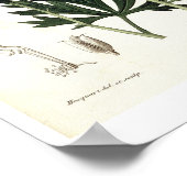 Phytographie MedicaleのAconitum Napellus ポスター (角)