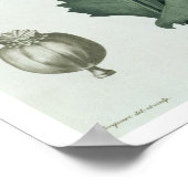 Phytographie MedicaleのPapaver Somniferum ポスター (角)