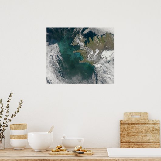 Phytoplankton bloom in the North Atlantic Ocean ポスター (キッチン)