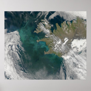 Phytoplankton bloom in the North Atlantic Ocean ポスター