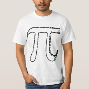 Piの完全な日 Tシャツ