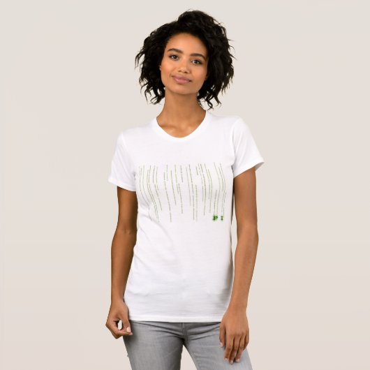 Pi in the Matrix, Bella Canvas Basic T-Shirt Tシャツ (正面フル)