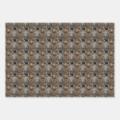 Pi Xiu Mythical Guardian Asian Art Sheet Gift Wrap ラッピングペーパーシート (正面2)