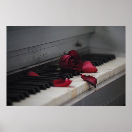 Piano Keys with a Red Rose ポスター (正面)