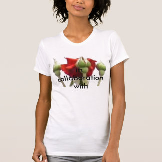 PIC_0010、と共同して Tシャツ