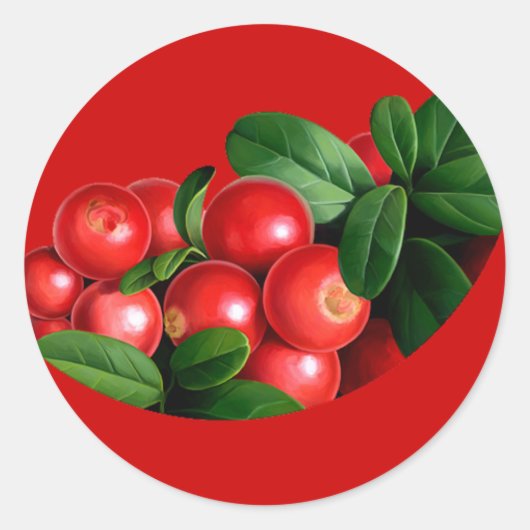 pic_04 ラウンドシール (正面)