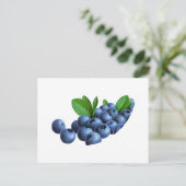 pic_11 ポストカード (スタンド正面)