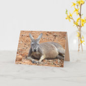 Pic of Kangaroo -ハッピーバースデーTo Roo カード (黄色い花)