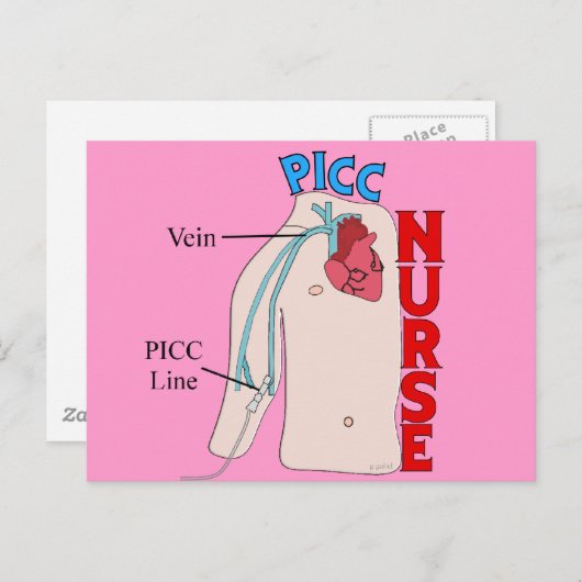 PICCラインナース解剖学的デザインギフト ポストカード (正面/裏面)
