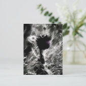 Pick Me ポストカード (スタンド正面)