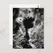 Pick Me ポストカード (正面/裏面)