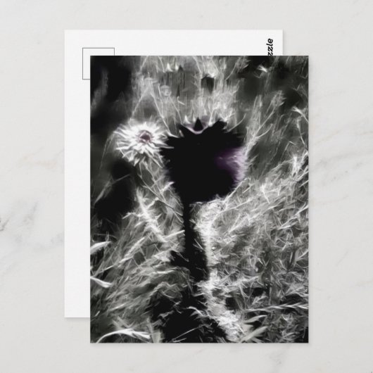 Pick Me ポストカード (正面/裏面)