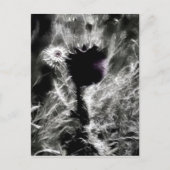 Pick Me ポストカード (正面)