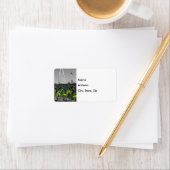 Pick Your Seat Select住所 シール (インサイチュ)