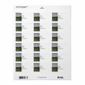 Pick Your Seat Select住所 シール (フルシート)