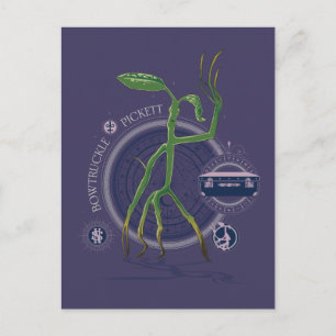 PICKETT™ BOWTRUCKLE™グラフィック ポストカード