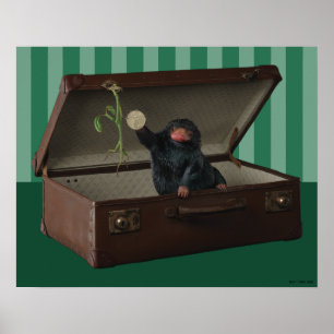 Pickett & Teddy in Briefcase ポスター