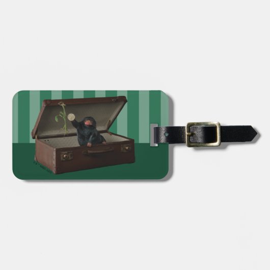 Pickett & Teddy in Briefcase ラゲッジタグ (正面横)